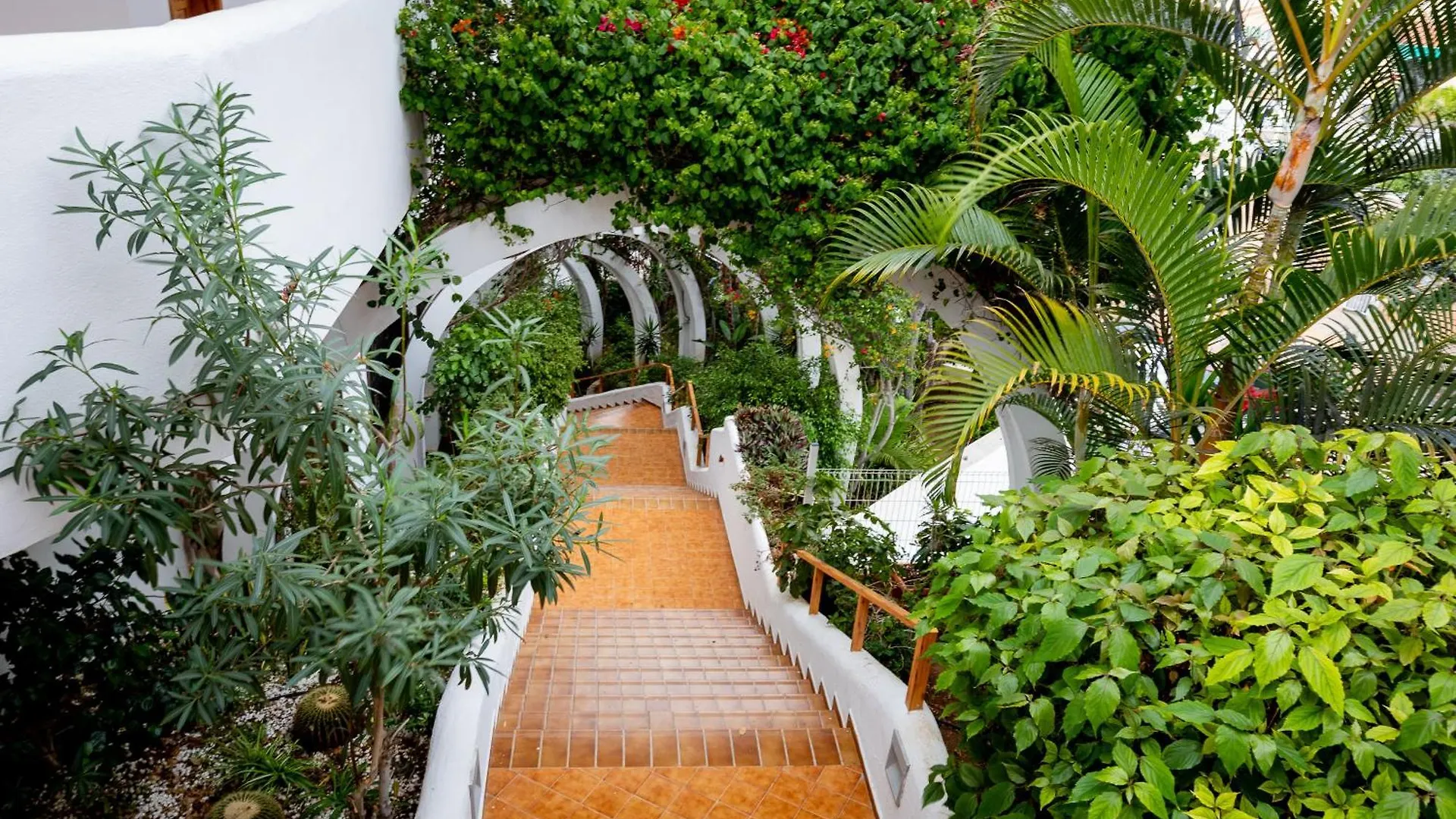 Apartamento Royal Park Torviscas Beach Costa Adeje   Costa Adeje (Tenerife)